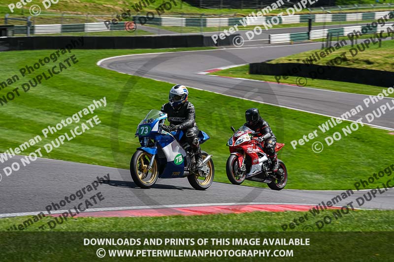 cadwell no limits trackday;cadwell park;cadwell park photographs;cadwell trackday photographs;enduro digital images;event digital images;eventdigitalimages;no limits trackdays;peter wileman photography;racing digital images;trackday digital images;trackday photos
